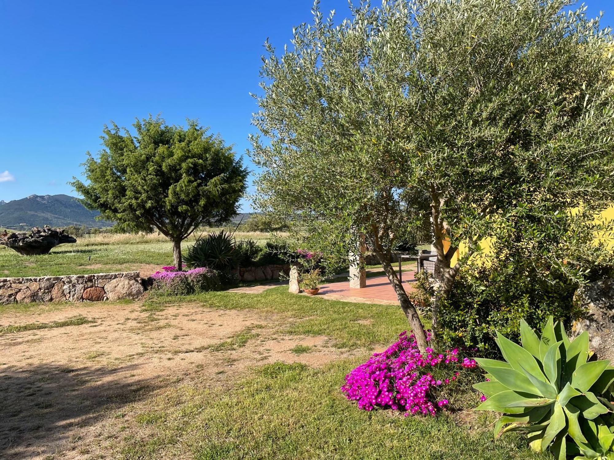 Agriturismo Campesi Casale Tra Le Vigne Aglientu Exterior photo