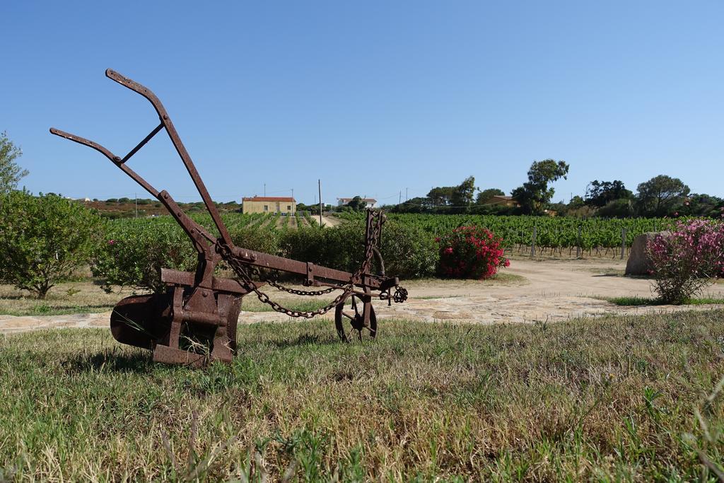 Agriturismo Campesi Casale Tra Le Vigne Aglientu Exterior photo