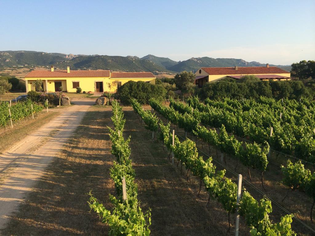 Agriturismo Campesi Casale Tra Le Vigne Aglientu Exterior photo