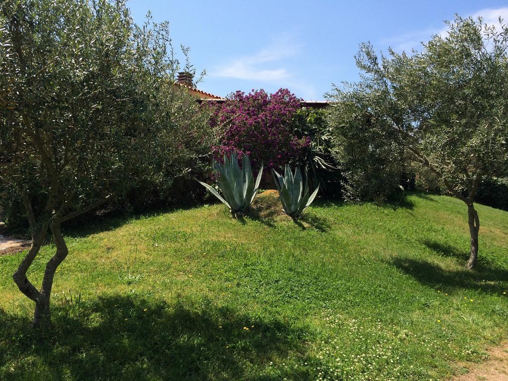 Agriturismo Campesi Casale Tra Le Vigne Aglientu Exterior photo