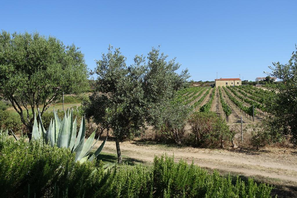 Agriturismo Campesi Casale Tra Le Vigne Aglientu Exterior photo