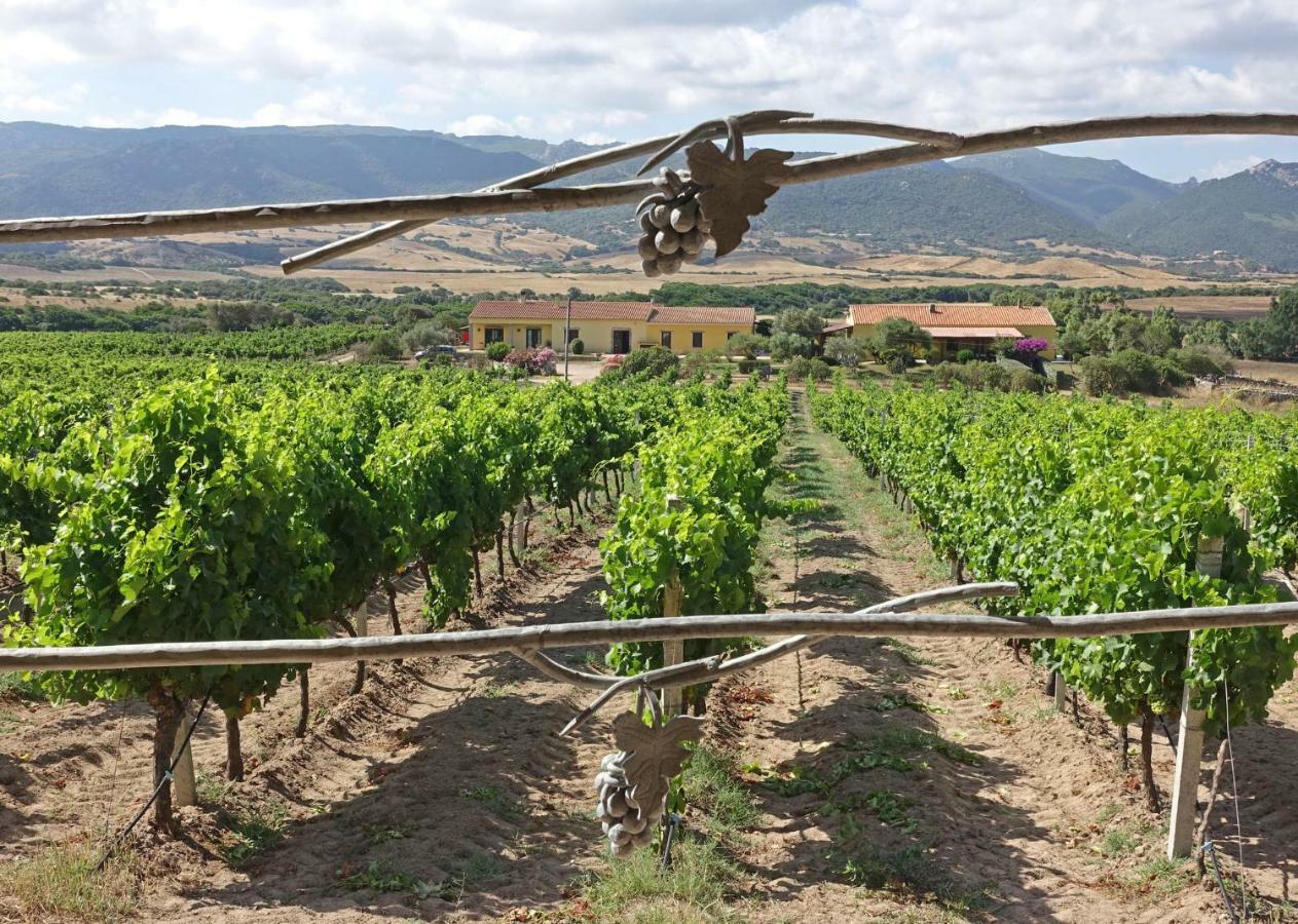Agriturismo Campesi Casale Tra Le Vigne Aglientu Exterior photo